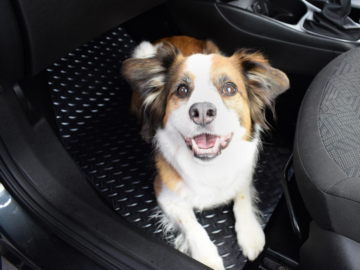 VW Golf MK8 Mild Hybrid Car Mats (2019-Onwards)